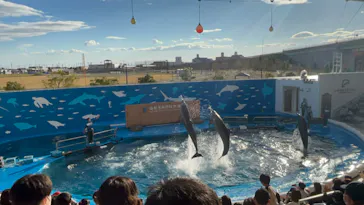 仙台うみの杜水族館に投稿された画像（2022/10/29）