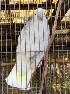 天王寺動物園に投稿された画像（2022/10/29）