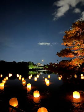 チームラボ ボタニカルガーデン 大阪に投稿された画像（2022/10/30）