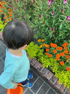 安城産業文化公園デンパークに投稿された画像（2022/10/30）