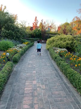 安城産業文化公園デンパークに投稿された画像（2022/10/30）