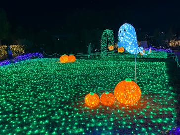 東武動物公園に投稿された画像（2022/10/30）