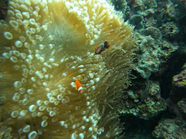 武藤潜水に投稿された画像（2022/10/30）