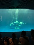 島根県立 しまね海洋館に投稿された画像（2022/10/30）