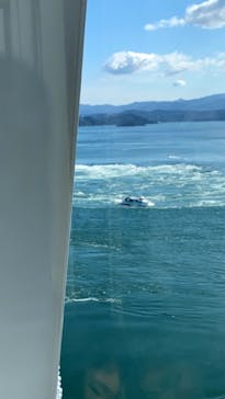 徳島県立 渦の道に投稿された画像（2022/10/30）