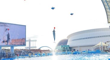 名古屋港水族館に投稿された画像（2022/10/30）