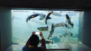 サケのふるさと 千歳水族館に投稿された画像（2022/10/30）
