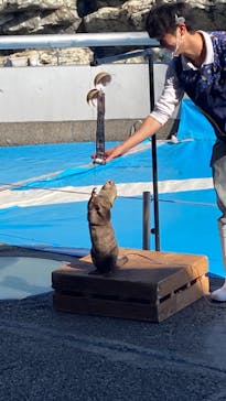 大分マリーンパレス水族館 「うみたまご」に投稿された画像（2022/10/30）