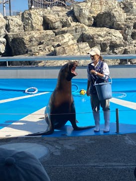 大分マリーンパレス水族館 「うみたまご」に投稿された画像（2022/10/30）