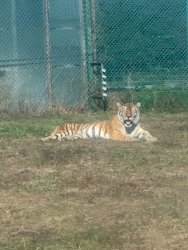 岩手サファリパークに投稿された画像（2022/10/30）