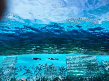 サンシャイン水族館に投稿された画像（2022/10/30）
