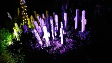 ムーミンバレーパークに投稿された画像（2022/10/30）