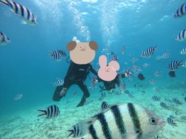 青の洞窟専門店　沖縄ダイビングショップ和に投稿された画像（2022/10/30）