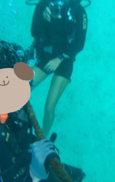 青の洞窟専門店　沖縄ダイビングショップ和に投稿された画像（2022/10/30）