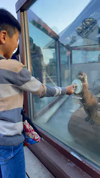 横浜・八景島シーパラダイスに投稿された画像（2022/10/30）