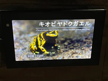 マクセル アクアパーク品川に投稿された画像（2022/10/30）