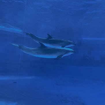 名古屋港水族館に投稿された画像（2022/10/30）