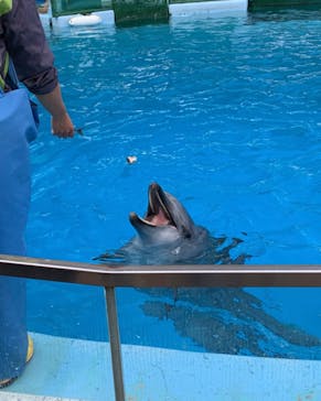 名古屋港水族館に投稿された画像（2022/10/30）