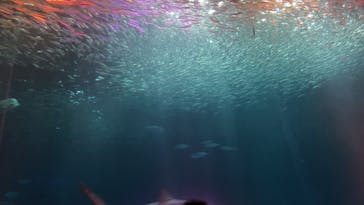 名古屋港水族館に投稿された画像（2022/10/30）