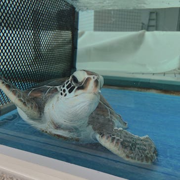 名古屋港水族館に投稿された画像（2022/10/30）