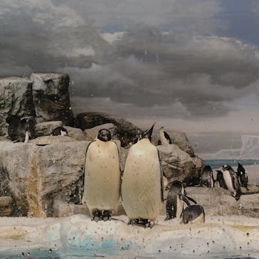 名古屋港水族館に投稿された画像（2022/10/30）