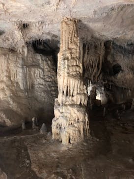 あぶくま洞に投稿された画像（2022/10/30）