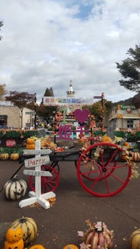 姫路セントラルパークに投稿された画像（2022/10/30）