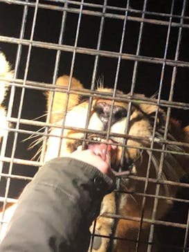 那須サファリパークに投稿された画像（2022/10/30）