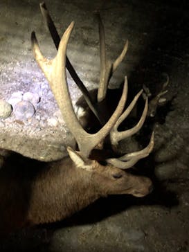 那須サファリパークに投稿された画像（2022/10/30）