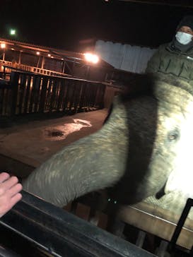 那須サファリパークに投稿された画像（2022/10/30）