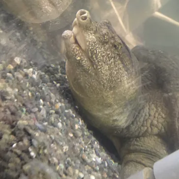 天王寺動物園に投稿された画像（2022/10/30）