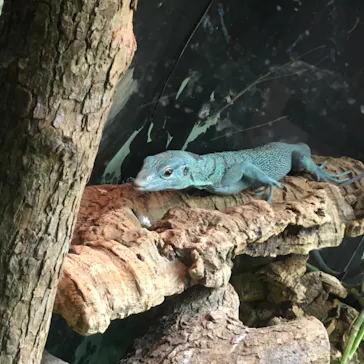 天王寺動物園に投稿された画像（2022/10/30）