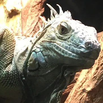 天王寺動物園に投稿された画像（2022/10/30）