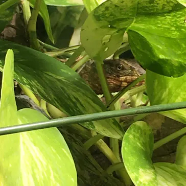 天王寺動物園に投稿された画像（2022/10/30）