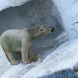 天王寺動物園に投稿された画像（2022/10/30）