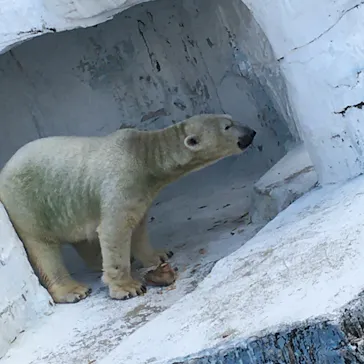 天王寺動物園に投稿された画像（2022/10/30）