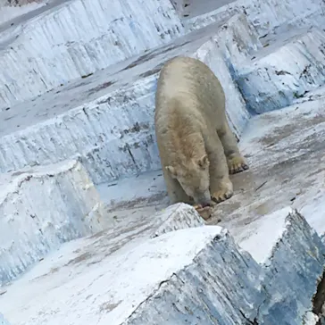 天王寺動物園に投稿された画像（2022/10/30）