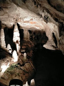 あぶくま洞に投稿された画像（2022/10/30）