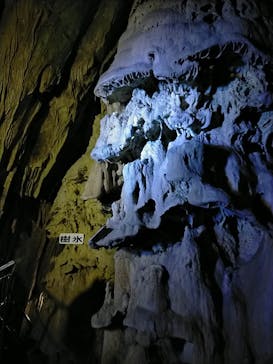 あぶくま洞に投稿された画像（2022/10/30）