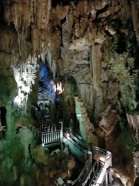 あぶくま洞に投稿された画像（2022/10/30）