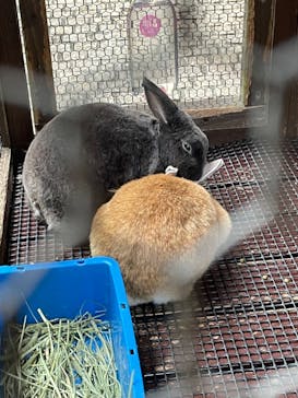 箱根湯本温泉 天成園に投稿された画像（2022/10/30）