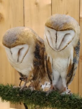 伊豆シャボテン動物公園に投稿された画像（2022/10/30）