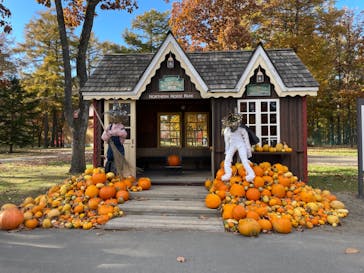 ノーザンホースパークに投稿された画像（2022/10/30）