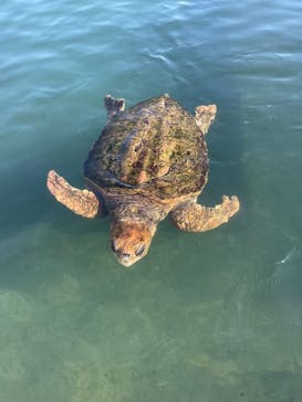 串本海中公園水族館に投稿された画像（2022/10/30）