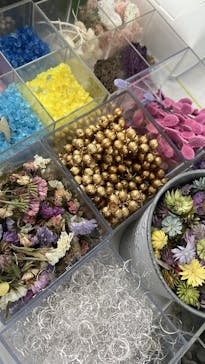 ずこうしつ〜sugamo〜に投稿された画像（2022/10/30）