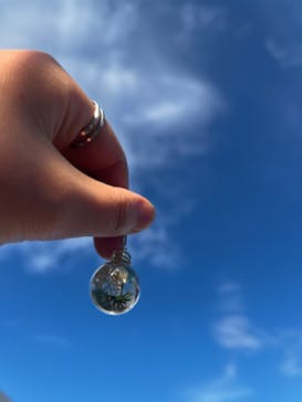 ずこうしつ〜sugamo〜に投稿された画像（2022/10/30）