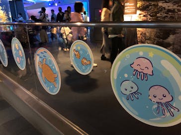 新江ノ島水族館に投稿された画像（2022/10/30）