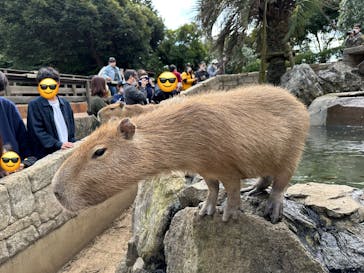 伊豆シャボテン動物公園に投稿された画像（2022/10/30）
