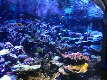 名古屋港水族館に投稿された画像（2022/10/30）