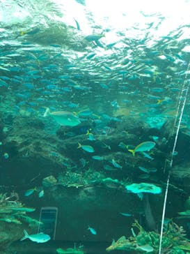 名古屋港水族館に投稿された画像（2022/10/30）